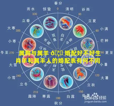 属狗与属羊 🦉 婚配好不好生肖羊和属羊人的婚配表有何不同